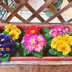 Le Colline Di Bed & Breakfast Maggiora