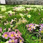 Bed & Breakfast Le Colline Di Maggiora