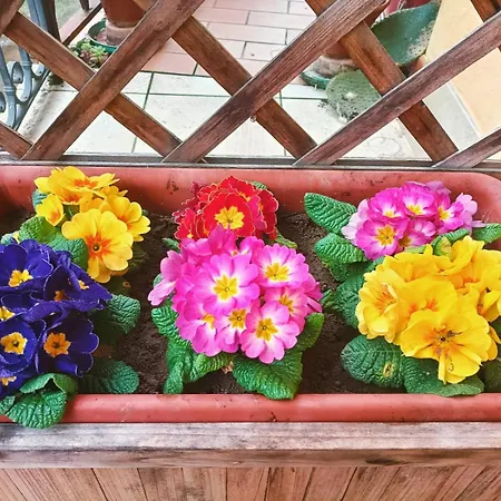 Le Colline Di Bed & Breakfast Maggiora