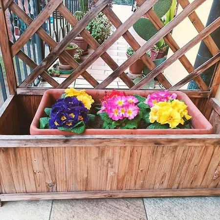 Le Colline Di Maggiora