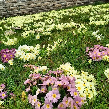 Le Colline Di 3* Maggiora