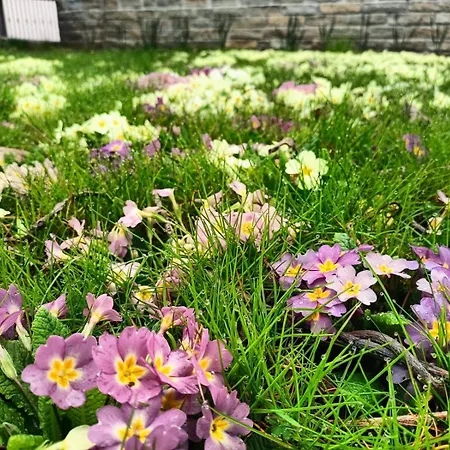 Bed & Breakfast Le Colline Di Maggiora