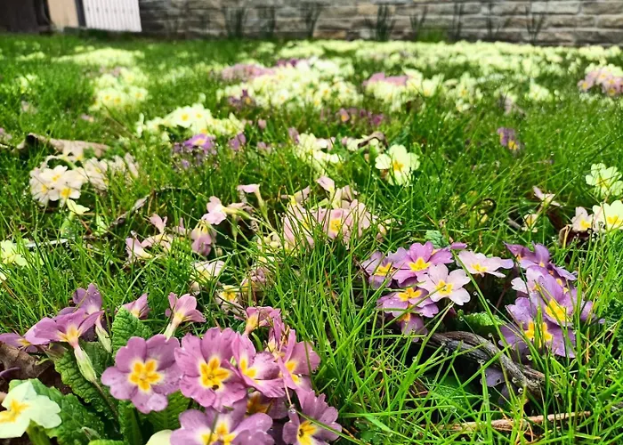 Bed & Breakfast Le Colline Di Maggiora